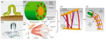New Research Proposes Conceptual Design of Configuration and Manipulation of Space Soft Robot