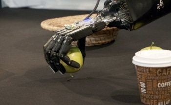 Flobi - a Stylized Robot Head with Hands That Can Self-Familiarize with New Objects
