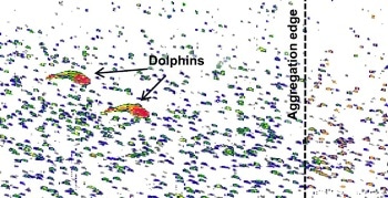 Researchers Use Deep-Diving Robots to Study Animals Within Sound-Scattering Layers