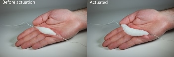 Untethered Soft Robots Could Help Mimic Natural Biological Systems