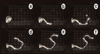 Research Opens Up New Possibilities in Soft Robotics