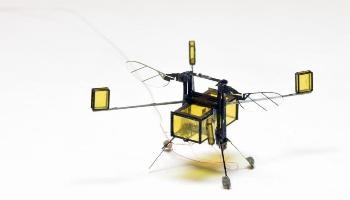 New Multipurpose Air-Water Microrobot Could Perform Search-and-Rescue Operations