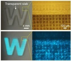 Study on the Glowing of Jellyfish-Inspired Electronic Skin