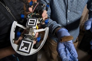 Multi-Legged Robot to Replicate Cockroach Locomotion