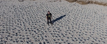 Drone-Based Approach is More Accurate for Monitoring Wildlife