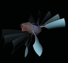 Engineers Develop Motorless Self-Propelled Robots