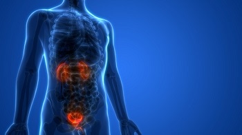 Study Shows Robotic Surgery as Effective as Open Surgery for Bladder Cancer