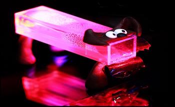 New Light-controlled Liquid Crystal Polymer Trained to Move and Stick