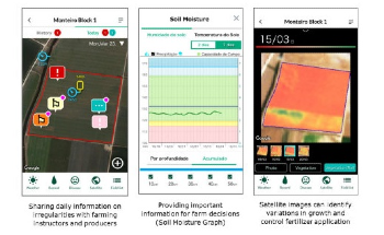 NEC and Kagome to Provide AI-enabled Services That Improve Tomato Yields
