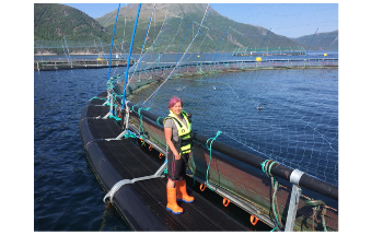 Biorobotics to Play Vital Role in Development of Fish Farming