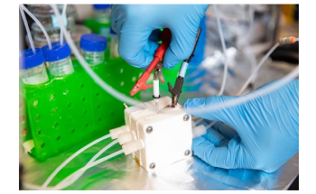 Using AI to Search for Clean Energy Materials