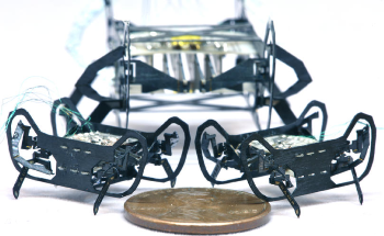 Researchers Develop Smallest, Most Dexterous Cockroach-Inspired Robot