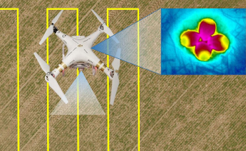 Artificial Intelligence and Drones can Help Conserve Farmland Bird Species