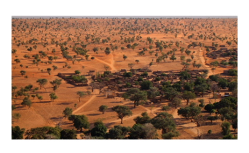 Researchers Use AI, Satellite Imagery to Count Millions of Trees in the Sahara