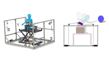 Robotic Training Helps Children with Cerebral Palsy to Sit More Stably