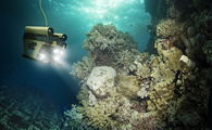 Biomimetic Fish-Like Robots Provide Insight into How Fish can Save Energy