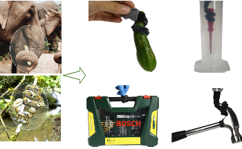 New 'Robotic Snake' Device Grips, Picks Up Objects