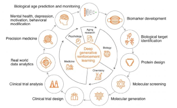 New Framework to Apply Next-Generation AI to Extend Human Longevity