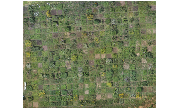 Researchers Use Drone-Based Photogrammetry to Estimate Plant Biomass