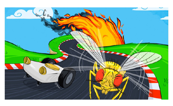 New Study on Fruit Flies may Lead to Better Autonomous Vehicles