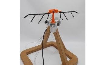 Modern Drones Could Mimic 300-Million-Year-Old Dragonflies