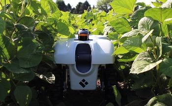 New Small-Scale Robots can Fertilize, Weed, Cull Single Plants in Field