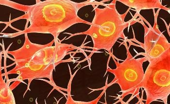 Magnetic Millirobots Could Serve as Drug Delivery Vehicles in Neural Tissues