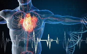 New Way to Identify Heart Failure Patients who Respond to Beta-Blocker Treatment