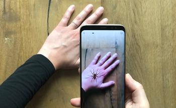 Fighting Fear of Spiders with Augmented Reality