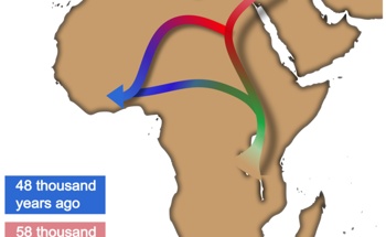 New AI-Based Method Refines Understanding of Out of Africa Movement