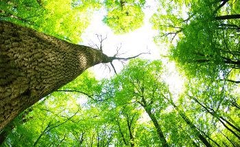 Unique Artwork Reminds People of the Impacts of AI on Climate Change