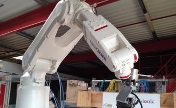 Fuzzy Logic and Visionic: Robotics for the Nuclear Industry