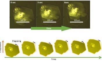 Synthesized Microrobots Self-Propel into a Two-Dimensional Tank