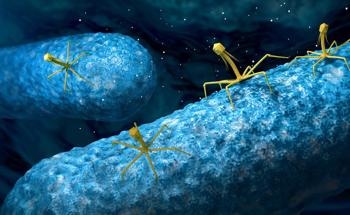New Robotic System to Help Improve Biomolecular Evolution