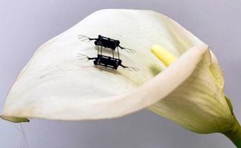 Improving the Performance of Aerial Microrobots