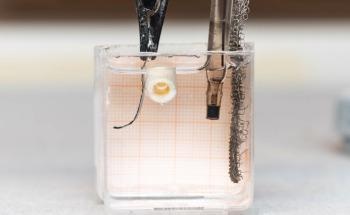 Researchers Create “Microrobots” That Can Morph into Various Shapes Before Hardening Like Bone