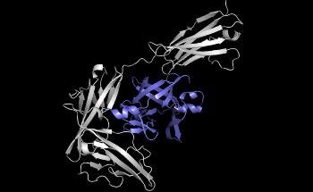 Machine-Learning System Can Rapidly Predict the Way Two Proteins Will Bind