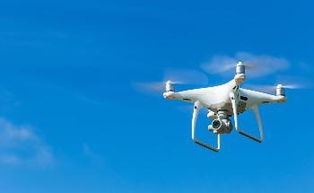 Wildlife Preservation Using Artificial Intelligence and Big Data
