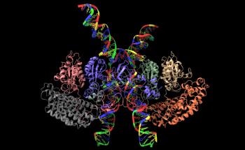 Novel AI-Based Method to Analyze Cryo-Electron Microscopy Data