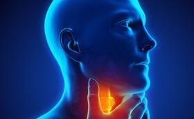 Artificial Intelligence Model Identifies Thyroid Cancer through Ultrasound Images