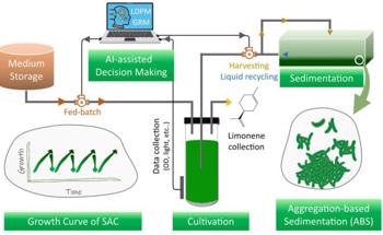 Artificial Intelligence Predicts Sustainable Biofuels from Algal