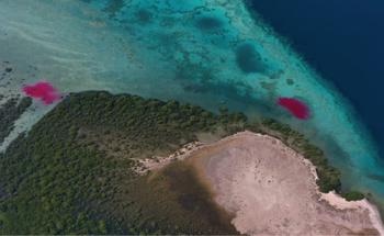 Unmanned Aerial Vehicles for Tracking Coastal Water Flows over Large Regions