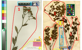 AI to Help Digitize Hundreds of Millions of Specimens in Museums Across Europe