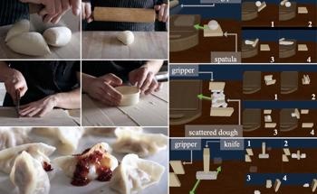 Robotic Manipulation of Deformable Objects