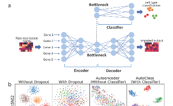 Study Shows How AI Technique Helps to Clean Single-Cell RNA-Sequencing Data
