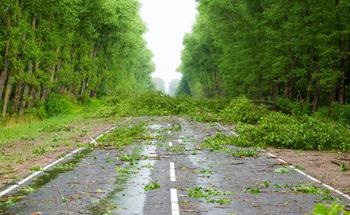 Remote Sensing Techniques Predict Severe Road Debris After Hurricane