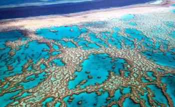 AI Monitors the Health of Coral Reefs by Learning the “Song of the Reef”