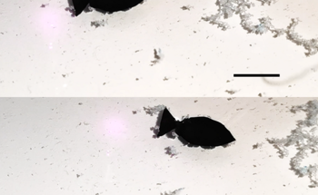 Study Shows How Robotic Fish Swim and Collect Microplastics When Light Hits