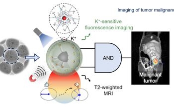 Using AI for Real-Time Tumor Malignancy Identification