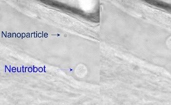 Researchers Use Lasers to Transform Neutrophils into Medicinal Microrobots